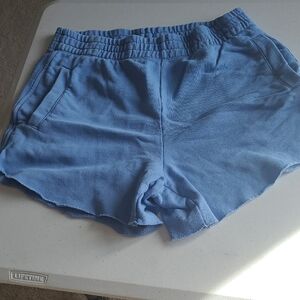 aerie Blue Sweatshorts